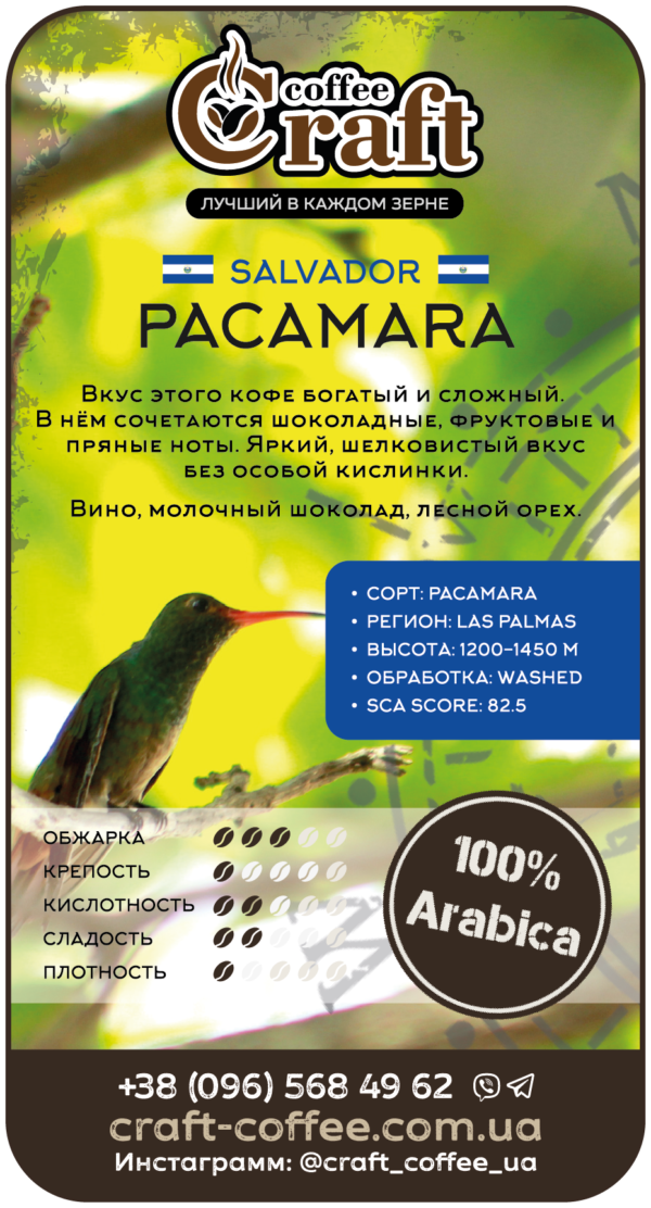 Кофе в зёрнах Salvador Pacamara