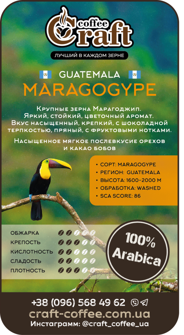 Кофе в зёрнах Guatemala Maragogype